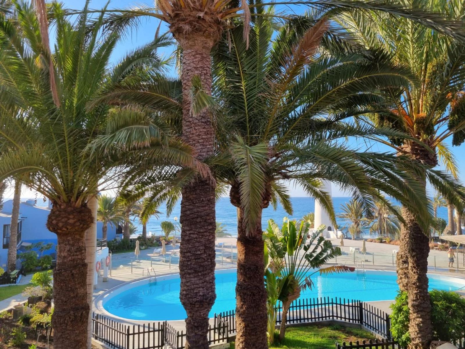 Top 2 Sun Club Bungalow Terraza Maspalomas  Dış mekan fotoğraf