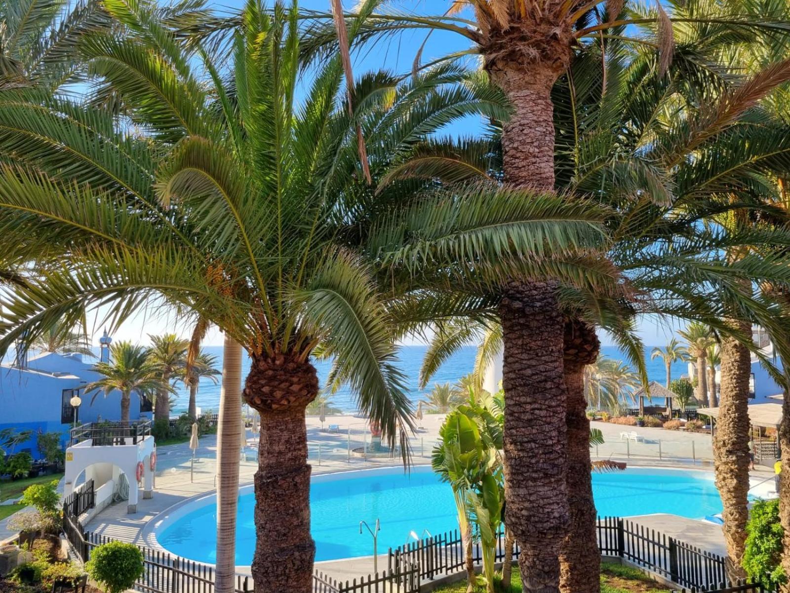 Top 2 Sun Club Bungalow Terraza Maspalomas  Dış mekan fotoğraf