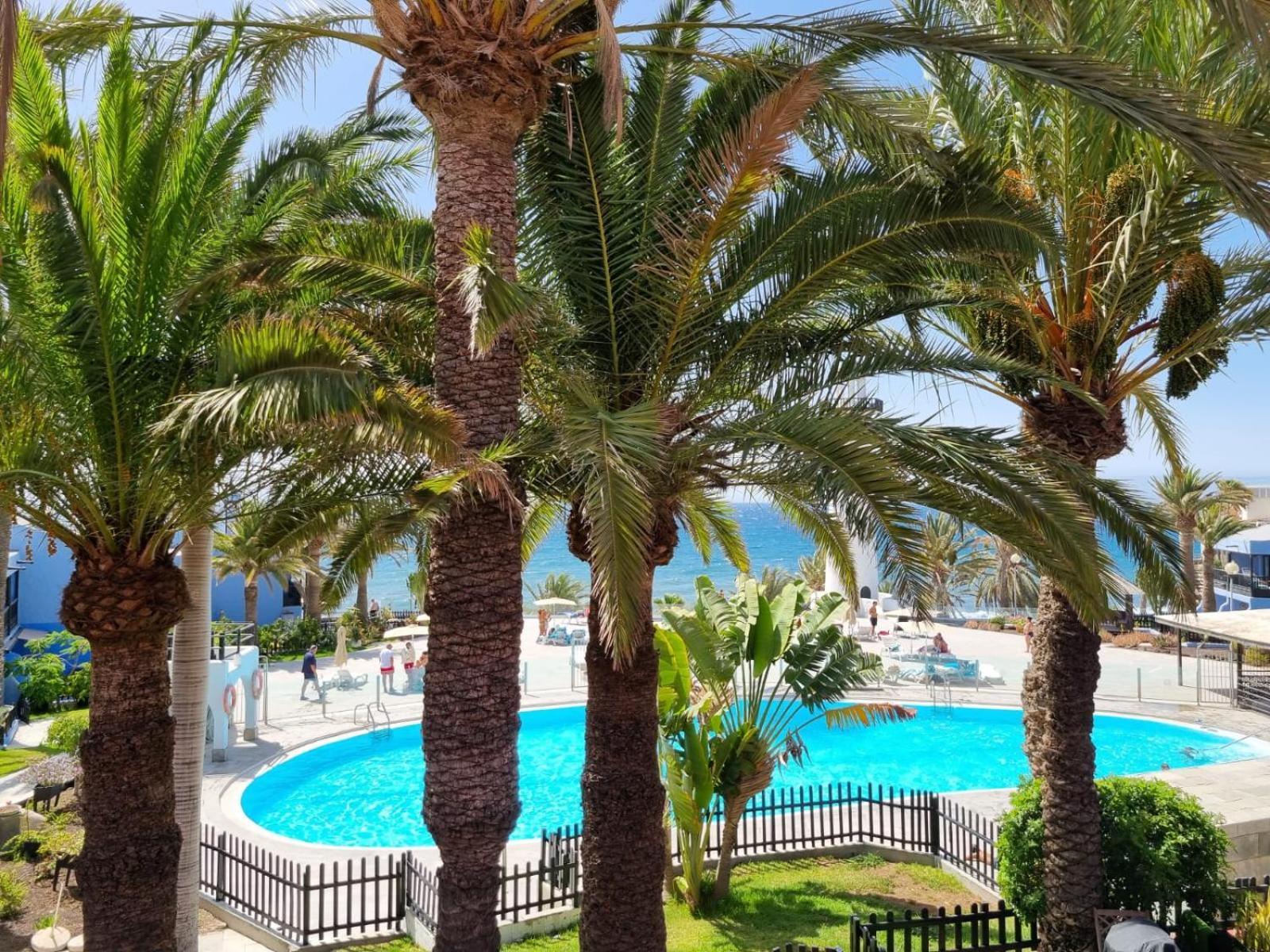 Top 2 Sun Club Bungalow Terraza Maspalomas  Dış mekan fotoğraf